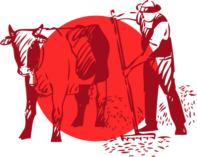 Condiții stricte de ambalare