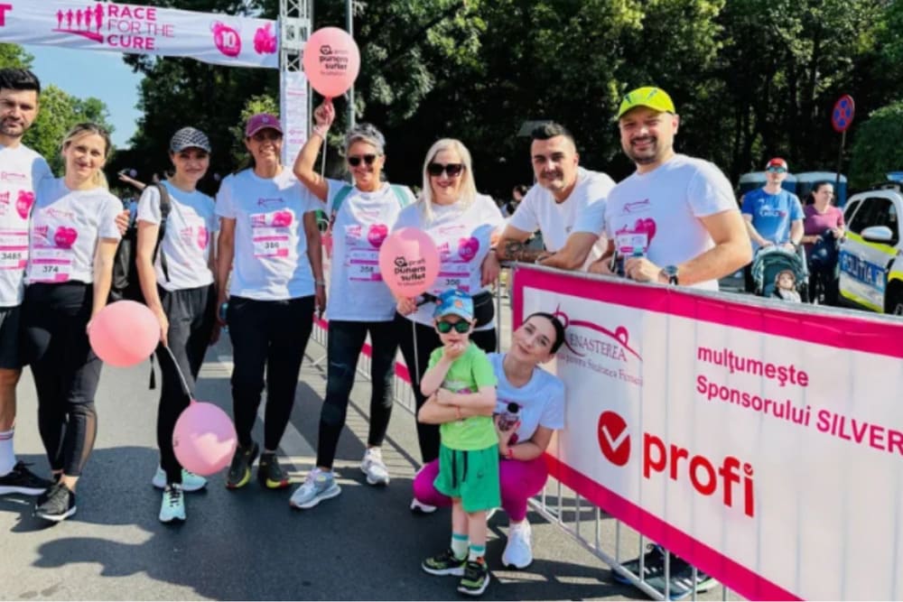 Profi colaborarea cu ONG-uri