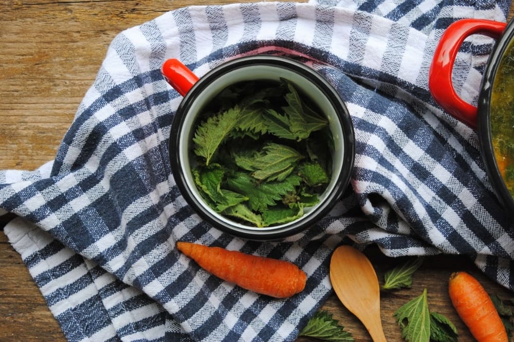 Ingrediente pentru ciorba de urzici